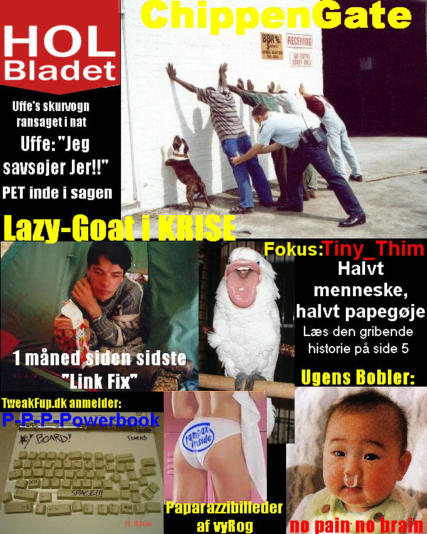 HOL Bladet: Udgave 29